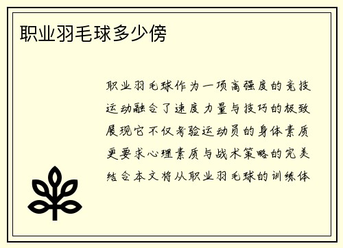 职业羽毛球多少傍